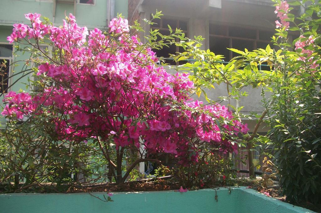 Hotel Impala Garden Kathmandu Exteriör bild